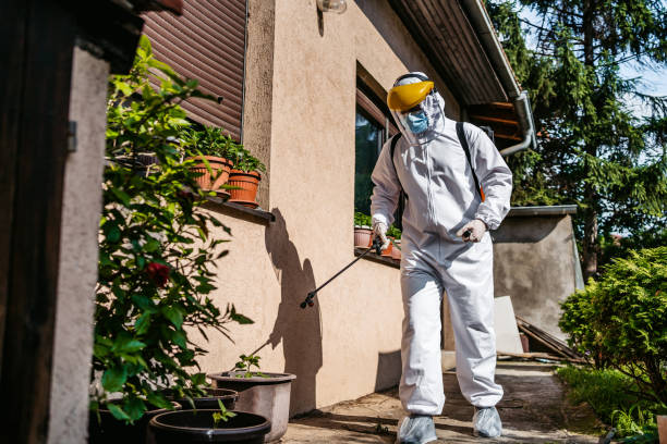 Best Affordable Pest Control Services  in Callaway, MD