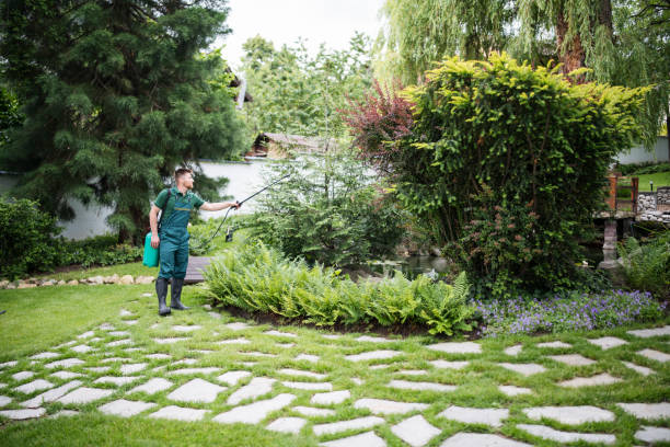 Best Pest Prevention Services  in Callaway, MD