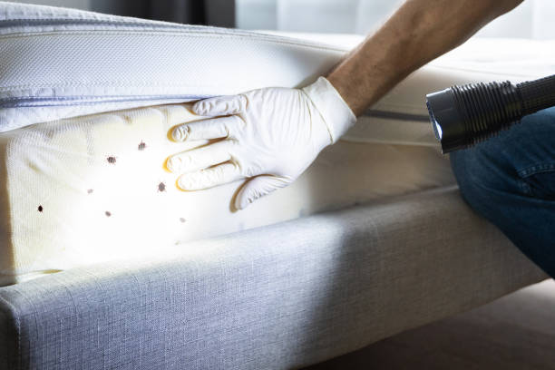 Best Residential Pest Control  in Callaway, MD