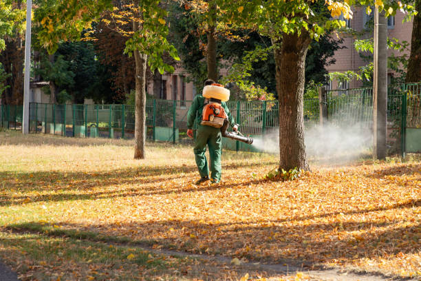 Reliable Callaway, MD Pest Control Solutions
