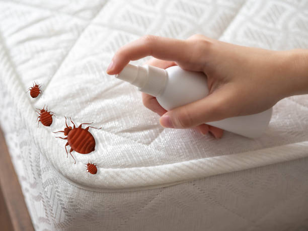 Best Best Pest Control Companies  in Callaway, MD